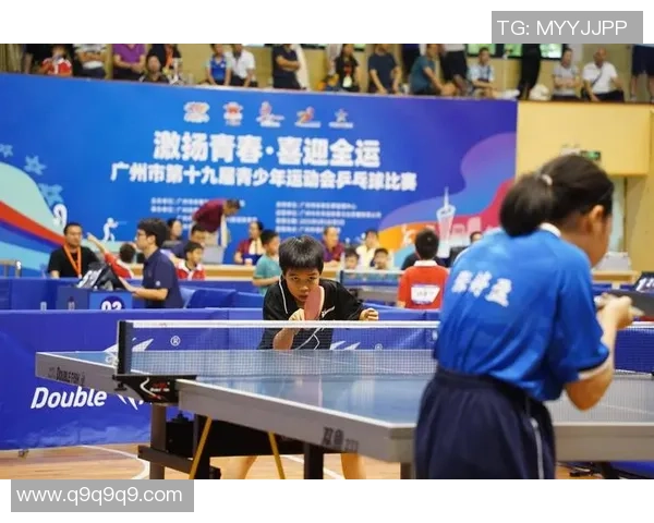 广州乒乓球队实力引发热议球迷与专家观点交锋探讨未来发展