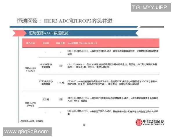 武汉排球队速度分析与战术创新的深度探讨与展望 武汉排球队速度分析与战术创新的深度探讨与展望