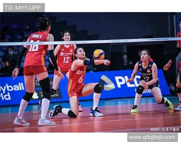 排球心理素质排行榜：成都排球队位居第8名