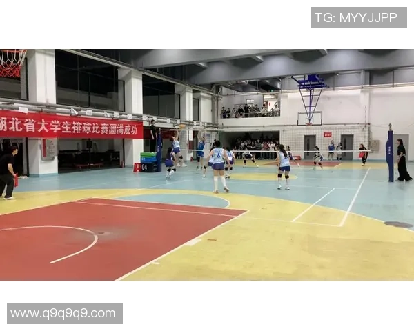 武汉排球队在全国锦标赛中的比赛经验与表现分析
