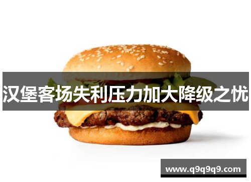 汉堡客场失利压力加大降级之忧