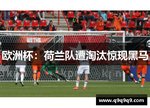 欧洲杯：荷兰队遭淘汰惊现黑马